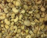 صورة لخطوة 2 من وصفة شوربه فول نابت بطريقتي جنااااان 🍲