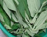 Foto langkah ke 1 dari resep Tumis daun singkong.