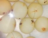 A picture of step 1 of Amla lounji.