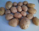 Foto del passaggio 1 della ricetta Patate sfiziose più Gusto al forno