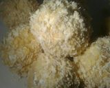 Hình bước làm 7 của món Bánh khoai tây chiên (Croquette)