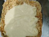 Turkish milky puding #10w