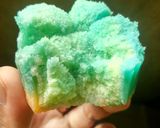 Foto langkah ke 4 dari resep Bolu Kukus Tepung Beras Tanpa Telor.