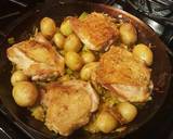 Harissa Chicken with Caramelized Leeks and Fennel recipe step 13 photo