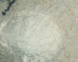 A picture of step 1 of Jalebi paratha of pudina.