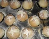 Foto del paso 8 de la receta: Pan de Campo
