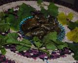 Stuffed vine leaves rolls (Dolmeh) recipe step 20 photo