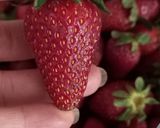 عکس مرحله 1 از دستور مربای توت فرنگی با پودر ژلاتین
