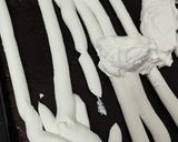 عکس مرحله 3 از دستور رولت