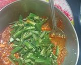 A picture of step 4 of Shahi Paneer Bhendi Masala.