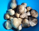 Foto langkah ke 1 dari resep Tahu Jamur Masak ala Bistik.