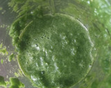 கொத்தமல்லி ரைஸ் ரெசிபி ஸ்டேப் 2 புகைப்படம்