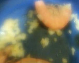 Foto del paso 3 de la receta: Spaghetti con camarones