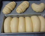 Foto langkah ke 6 dari resep Roti empyuk 1x proofing.