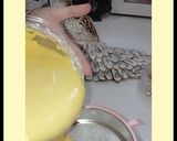 عکس مرحله 2 از دستور رشته خشکار زعفرانی دست پخت مهسا🤩
