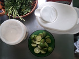 Agua de charco