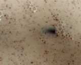 Foto langkah ke 1 dari resep Susu Kayu Manis/Cinnamon Milk.