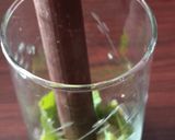 ভার্জিন মোহিতো(mojito recipe in Bengali) রেসিপির ধাপ 3 ছবি