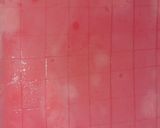 Foto langkah ke 1 dari resep Strawberry Sago.