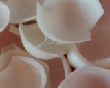 Foto del paso 3 de la receta: Cebollas rellenas de remolacha y verdeo