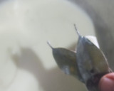 Foto del paso 6 de la receta: Milanesa de pollo en salsa bechamel 3M