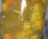 Foto langkah ke 5 dari resep Cocktail / Es buah pepaya nanas.