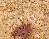 શેકેલા પાપડ પૌંઆ (Roasted Papad Poha Recipe In Gujarati) રેસીપી સ્ટેપ5ફોટો