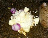 Foto langkah ke 2 dari resep Sate Jamur Tiram.