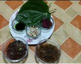 पान शॉट (Pan shots recipe in Hindi) रेसिपी चरण 1 फोटो