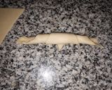 Foto del paso 5 de la receta: Medialunas caseras (snack) 😋