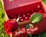 صورة لخطوة 14 من وصفة سلطة المعكرونة التركية