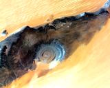 صورة لخطوة 1 من وصفة ارز بالسمك 🇲🇷