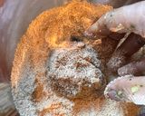 Foto langkah ke 3 dari resep Nugget Ayam-Sayur Panggang Gluten Free (Oven).