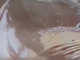 Es lumut jely coklat