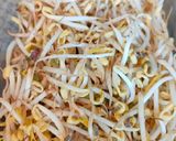 Foto langkah ke 1 dari resep Mie Goreng Tauge.