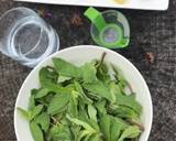 Mint Chutney recipe step 1 photo