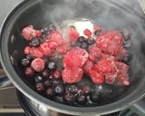 Foto del paso 1 de la receta Salsa de frutos rojos para carne