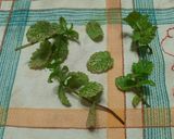 Foto del paso 6 de la receta: Vinagre de sidra con hierbas