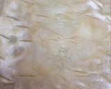 Foto del paso 3 de la receta: Coca de aceite con verduras y pollo