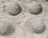 Foto del paso 9 de la receta: Bombas de papa y espinaca 💣