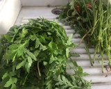 Foto del paso 4 de la receta: Hierbas silvestres 2 : el diente de león