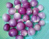 Hình bước làm 1 của món Dưa HÀNH