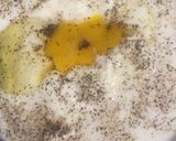 Une image de l'étape 3 de Gratin de christophines.