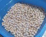 Foto del paso 1 de la receta: Cazuela O Guiso de mondongo