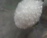 A picture of step 2 of Mint margarita.