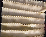Foto del paso 6 de la receta: Lasaña tradicional
