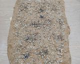 Foto del paso 2 de la receta: Galletitas saladas con semillas