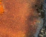 A picture of step 2 of Ghee Makhana.