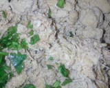 Foto del paso 4 de la receta: Salpicón de pulpa de cerdo a la Mario, s