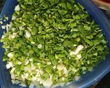 ડુંગળીયું (Dungariyu Recipe In Gujarati) રેસીપી સ્ટેપ1ફોટો